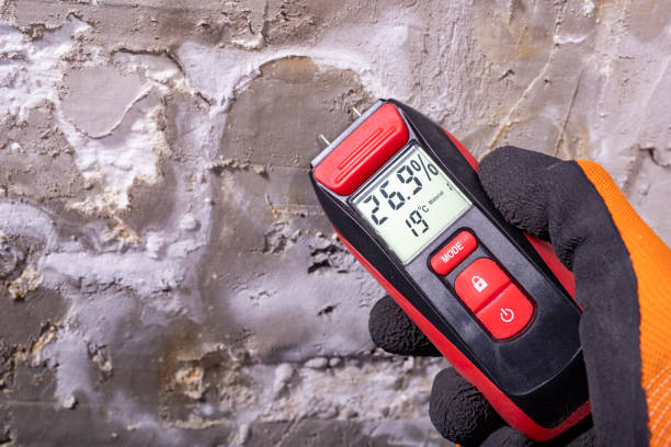 Home Mold Removal in Rising Sun, MD